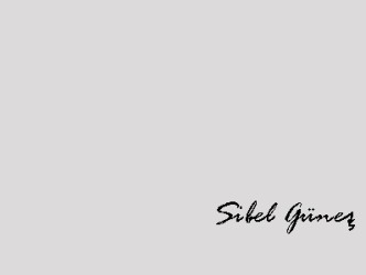 Obez hastanın sahibi yok